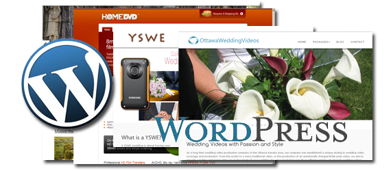 software development services banner